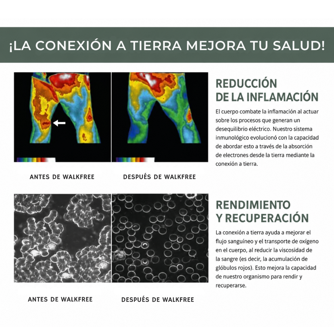 WalkFree | calzado ergonómico con conexión a la tierra.